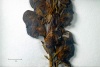 Detailfoto des Herbarbelegs eines Blauen Eisenhuts: Mehrere getrocknete und gepresste Blüten des Blauen Eisenhuts sind zu sehen.
